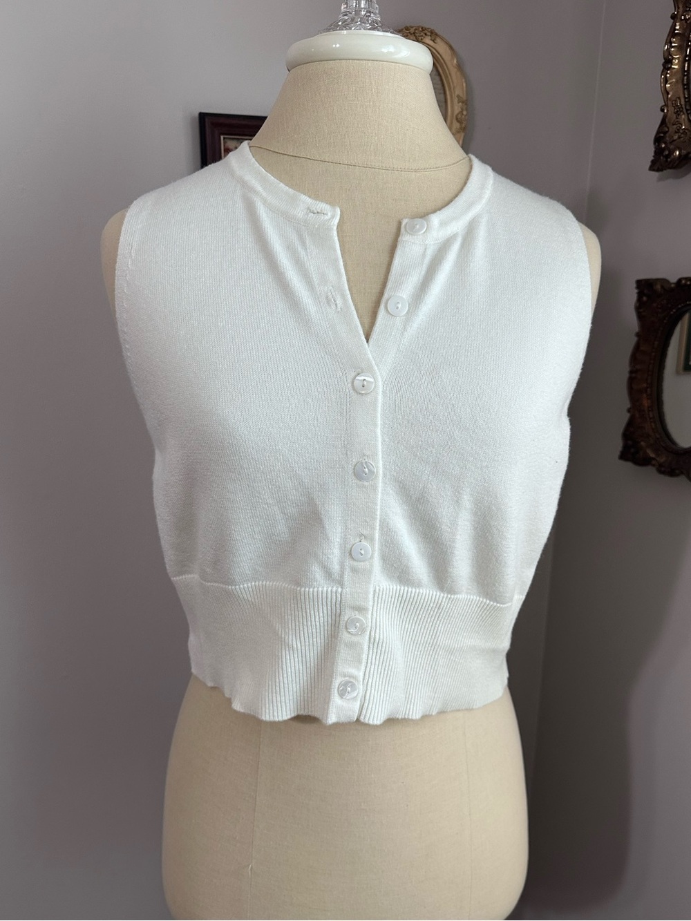 Revolve Song of Style White Button-Front Sleeveless Knit Crop
